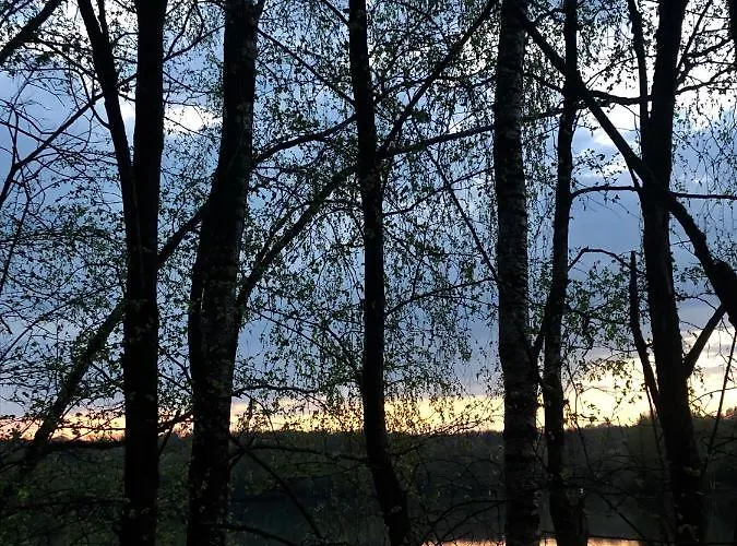 La Souricière * Silenrieux